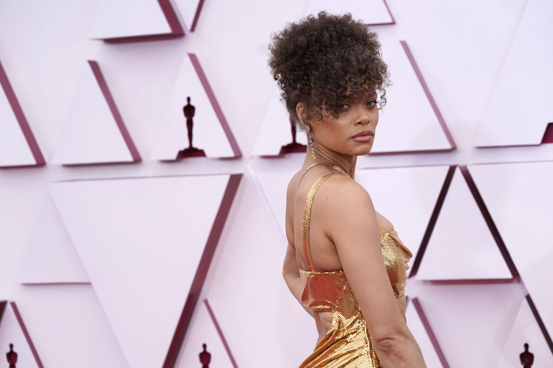 93rd Academy Awards - Arrivals